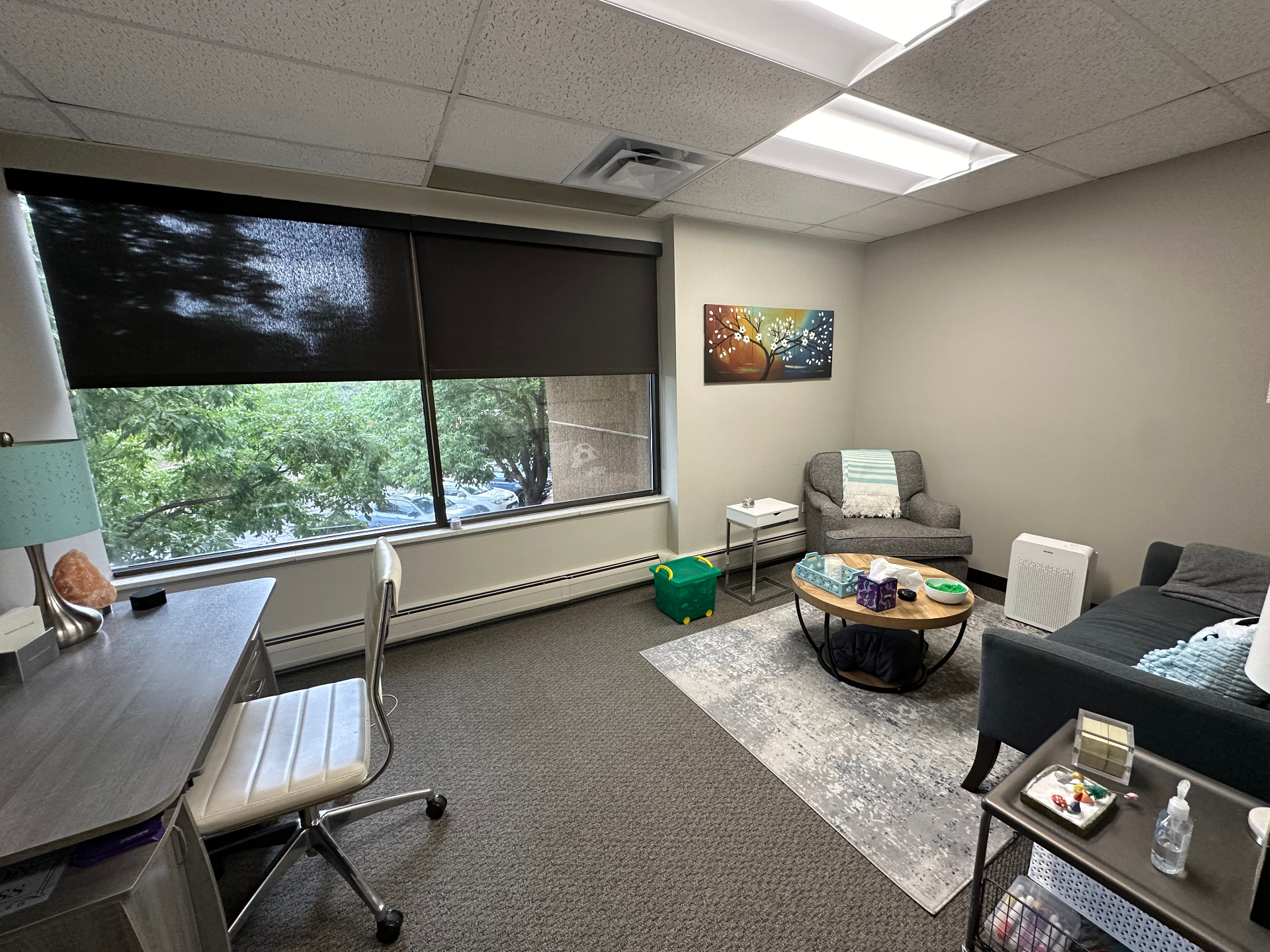 Shoshana's therapy office in Greenwood Village — warm, calm room with comfortable seating and natural light.